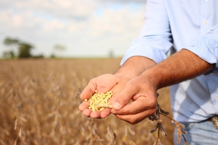 Changeons la façon dont le monde cultive les aliments