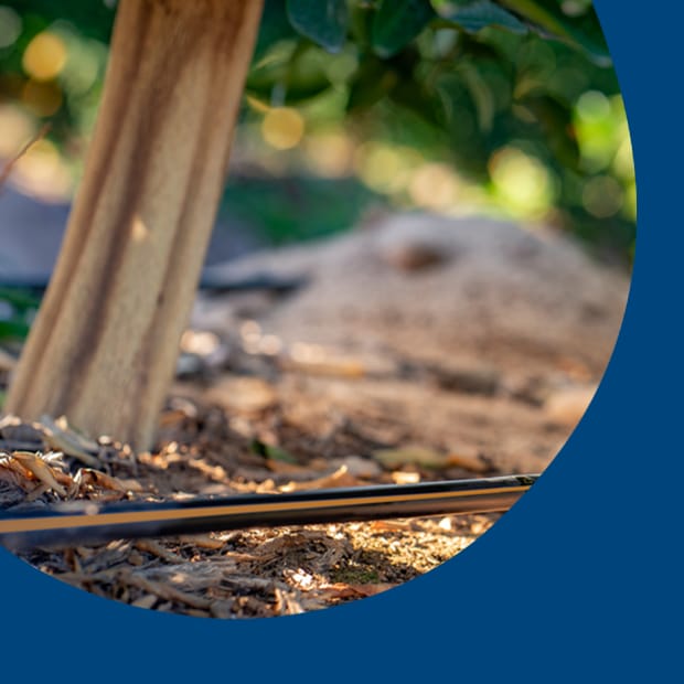 Éviter le gaspillage de l'eau :