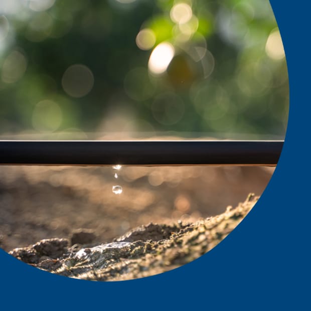 Réduire l'évaporation