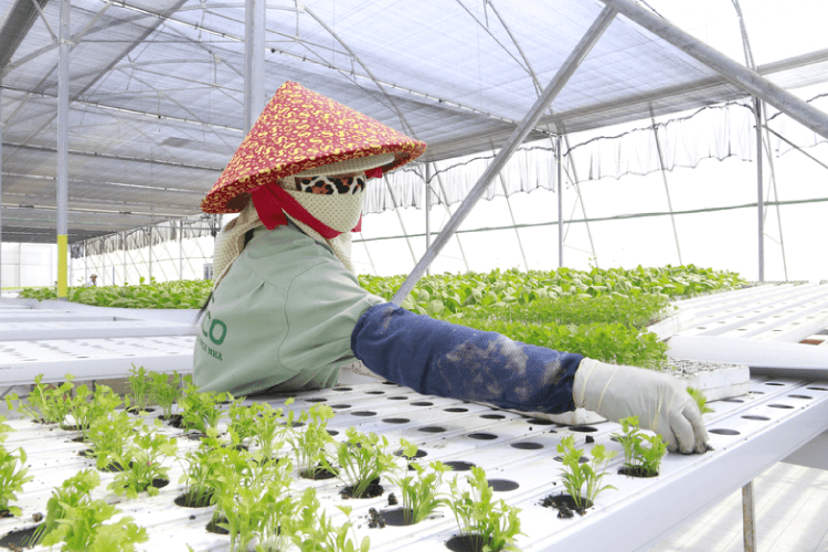 Notre engagement en faveur des ODD