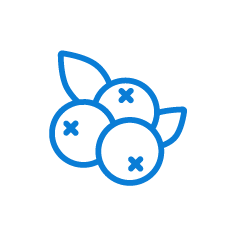 Ic&ocirc;ne myrtille