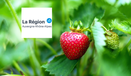 Plan régional filière fruits 2023-2027 