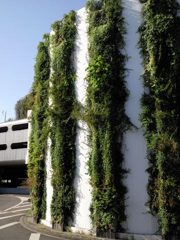 JARDINS D’INTÉRIEURS, SUSPENDUS ET MURS VÉGÉTALISÉS