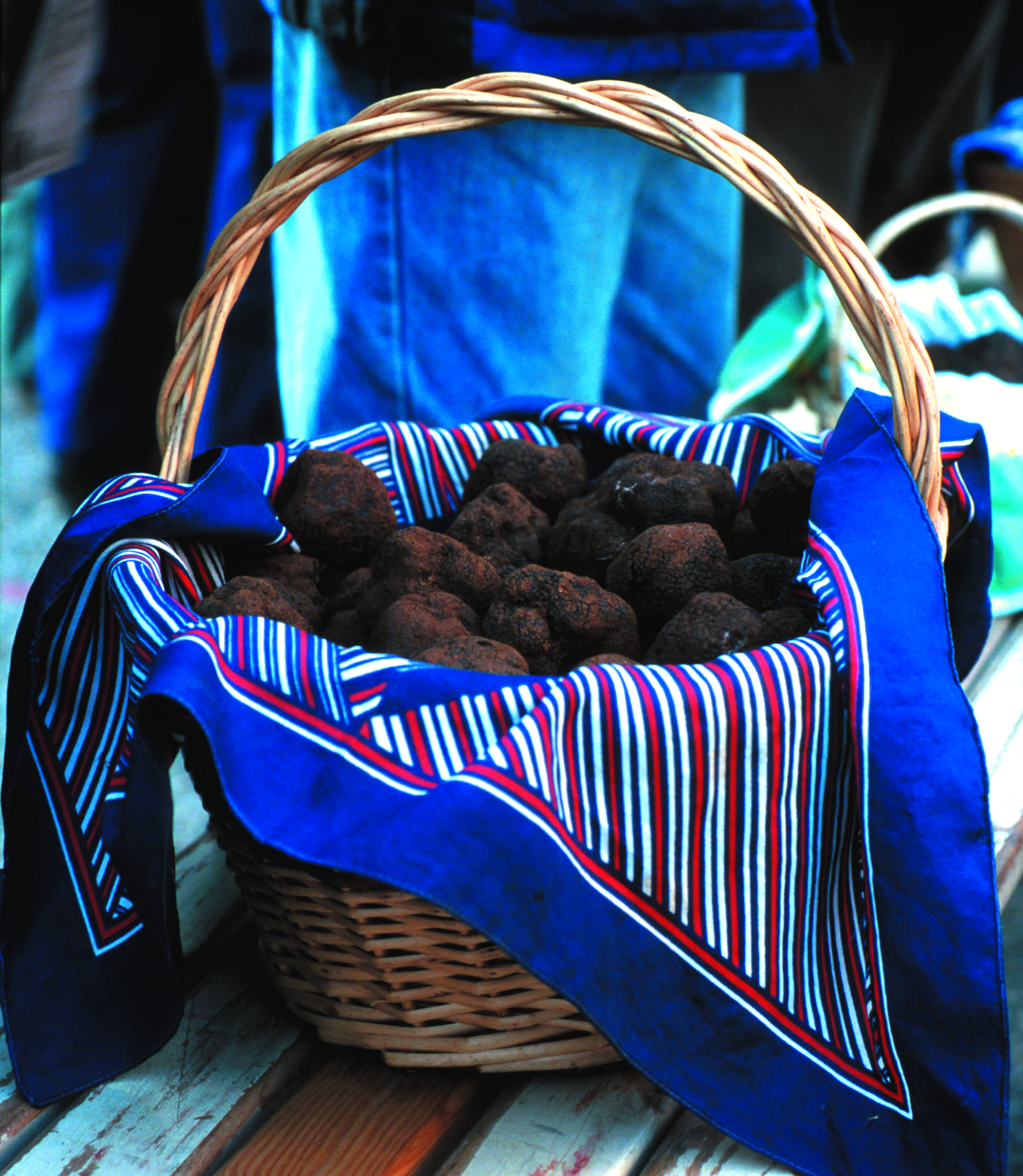Creuser Pour Récupérer La Truffe À La Découverte De La Truffe 18 Truffe