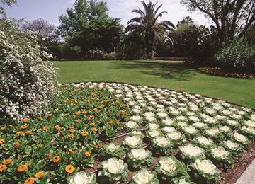 MASSIFS FLORAUX ET ARBUSTIFS