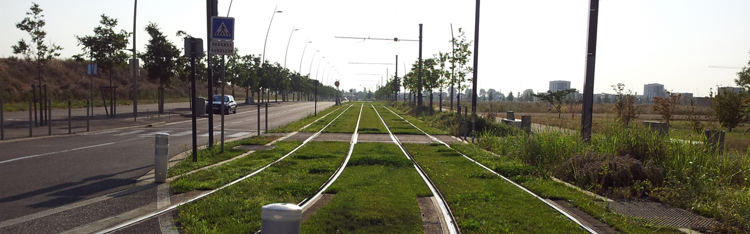 Banner Les différentes techniques d'irrigation d'un tramway