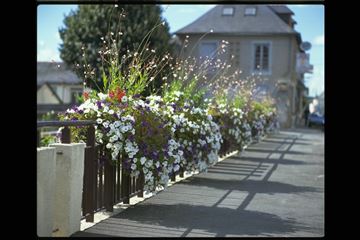 BACS, JARDINIERES ET SUSPENSIONS