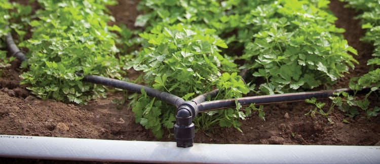 Produits et solutions pour l'irrigation de précision en agriculture