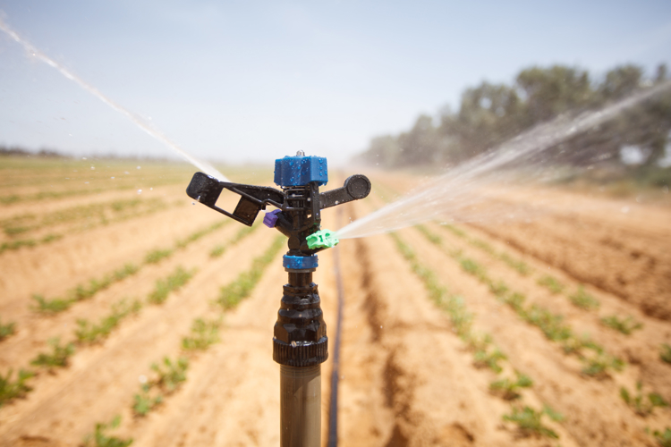 D-Net ™ 8550 | Arroseurs à impact | Irrigation par aspersion